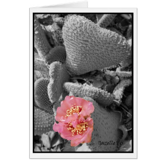 Kaktusblommar Hälsningskort
