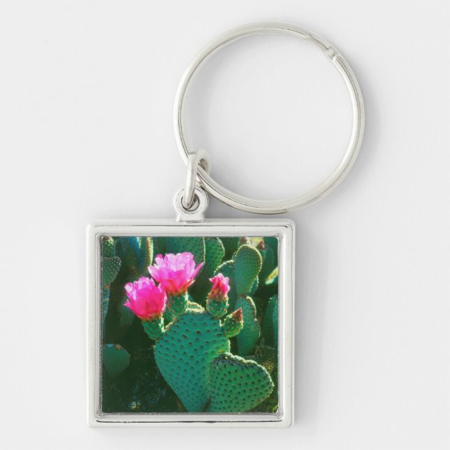 Kaktusblommor av Opuntia basilaris Fyrkantig Silverfärgad Nyckelring (Framsidan)