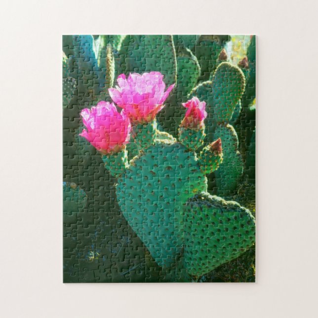 Kaktusblommor av Opuntia basilaris Pussel (Vertikal)