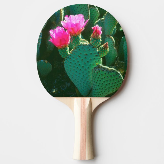 Kaktusblommor från Beavertail Pingisracket (Framsidan)