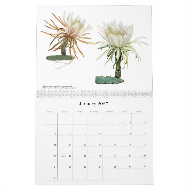 Kaktusen blommar kalendern kalender (Jan 2027)
