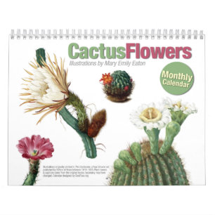 Kaktusen blommar kalendern kalender