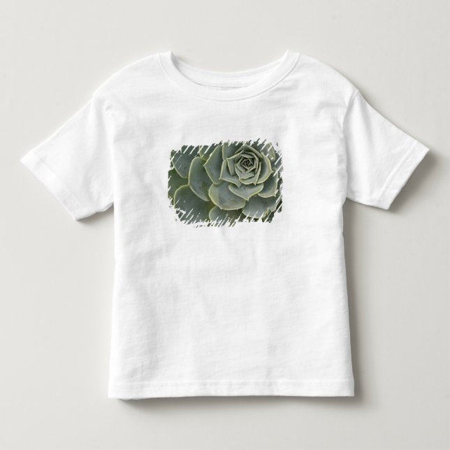Kaktusmönster T Shirt (Framsida)