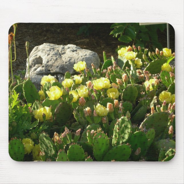 Kaktusmousepad för Prickly Pear Musmatta (Framsidan)