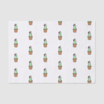 Kaktussilkespapperpapper