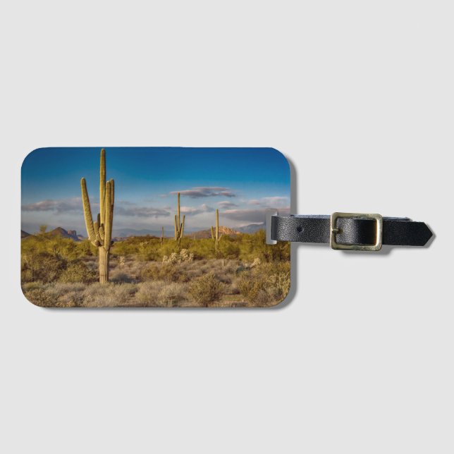 Kaktussolnedgång i Arizona Bagagebricka (Framsida horisontal)