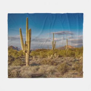 Kaktussolnedgång i Arizona Fleecefilt