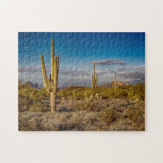 Kaktussolnedgång i Arizona Pussel (Horisontell)