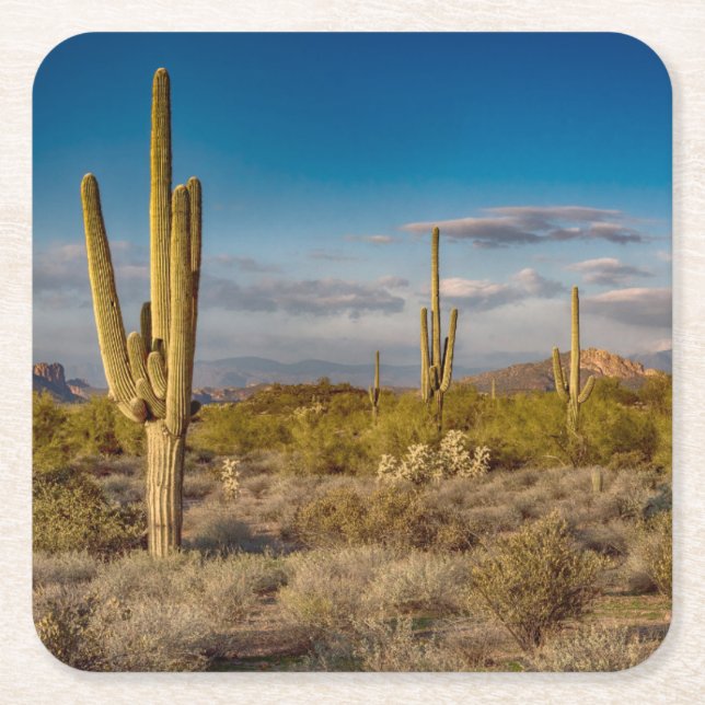 Kaktussolnedgång i Arizona Underlägg Papper Kvadrat (Framsidan)
