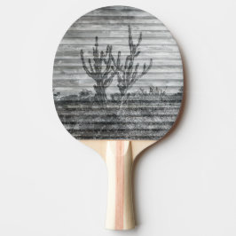 Kaktusväxter På Träplankor Svart Och Vitt Foto Pingisracket