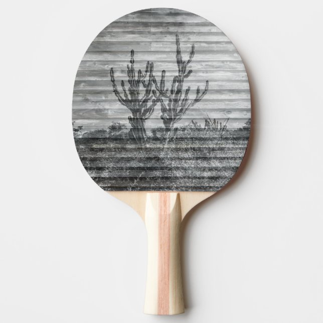 Kaktusväxter På Träplankor Svart Och Vitt Foto Pingisracket (Framsidan)