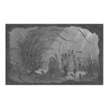 Kakvarieflundra, havsfisk