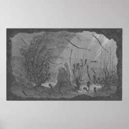 Kakvarieflundra, havsfisk poster