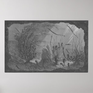 Kakvarieflundra, havsfisk poster