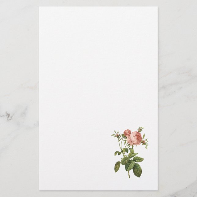 kål steg (den Rosa centifoliafoliaceaen) vid Brevpapper (Framsida)
