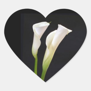 KALA LILY ENVELOPE SEAL STICKER HJÄRTFORMAT KLISTERMÄRKE