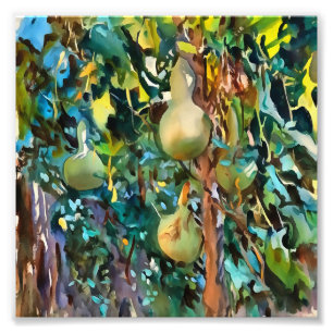 Kalabash Träd Gourds in Autumn Acrylic Art Fototryck