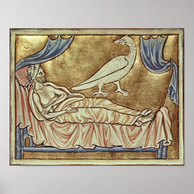 Kaladriusfågel, känd som förut poster (Framsidan)