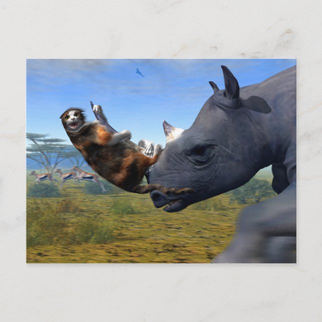 Kalahari Express Vykort (Framsida)