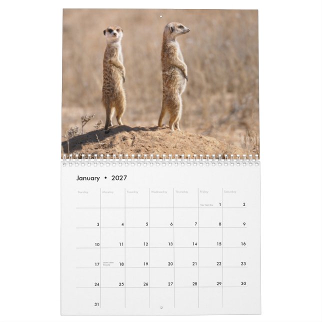 Kalahari! Kalenderdäggdjur av Kgalagadi Kalender (Jan 2027)