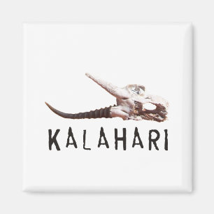 Kalahari öken i afrika: Död antilopskalle Magnet