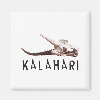 Kalahari-öknen i Afrika: Död antilop skalle Magnet