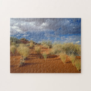Kalahariökenscen, Kgalagadi Transfrontier 2 Pussel