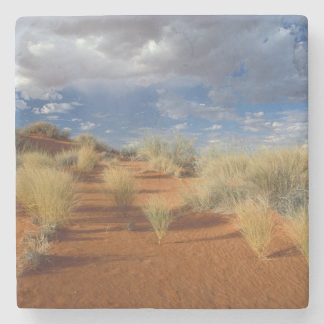 Kalahariökenscen, Kgalagadi Transfrontier 2 Stenunderlägg (Framsidan)