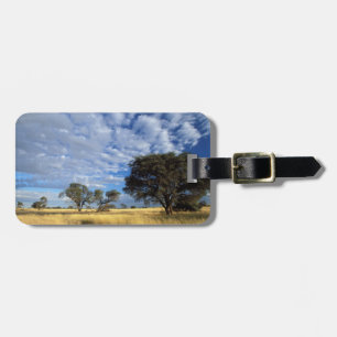 Kalahariökenscen, Kgalagadi Transfrontier Bagagebricka