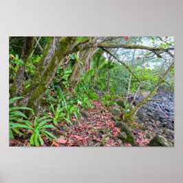 Kalalau Trail, Napali Kusten, Kauai, Hawaii Poster