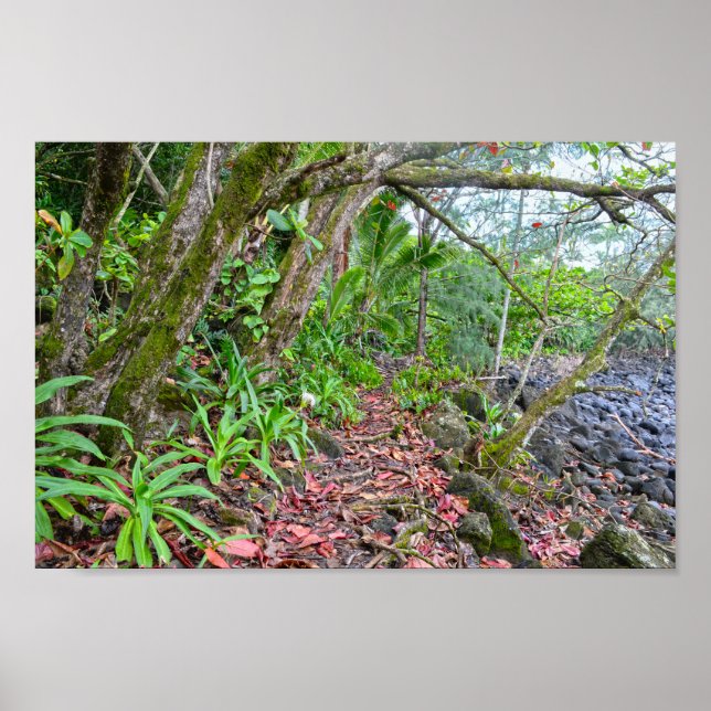 Kalalau Trail, Napali Kusten, Kauai, Hawaii Poster (Framsidan)