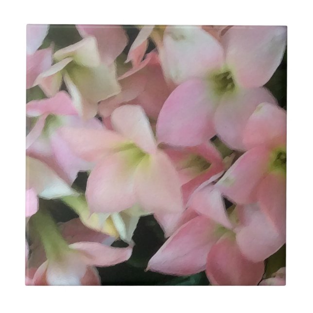 Kalanchoe Blommor Kakelplatta (Framsidan)