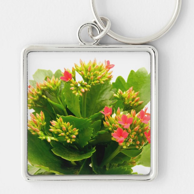 Kalanchoe blossfeldiana fyrkantig silverfärgad nyckelring (Framsidan)