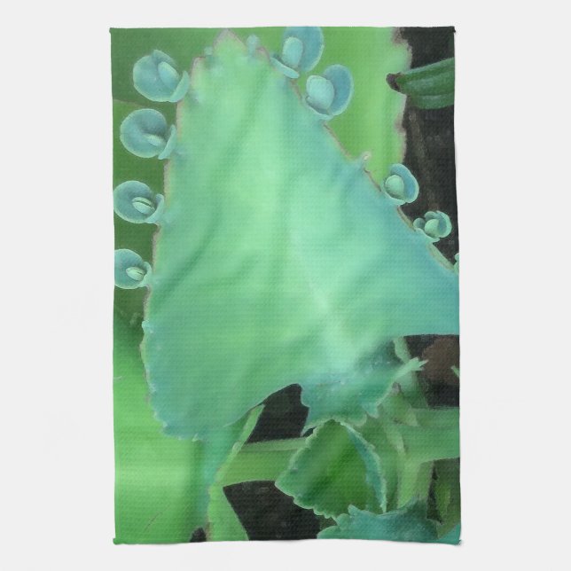 Kalanchoe Kökshandduk (Vertikal)