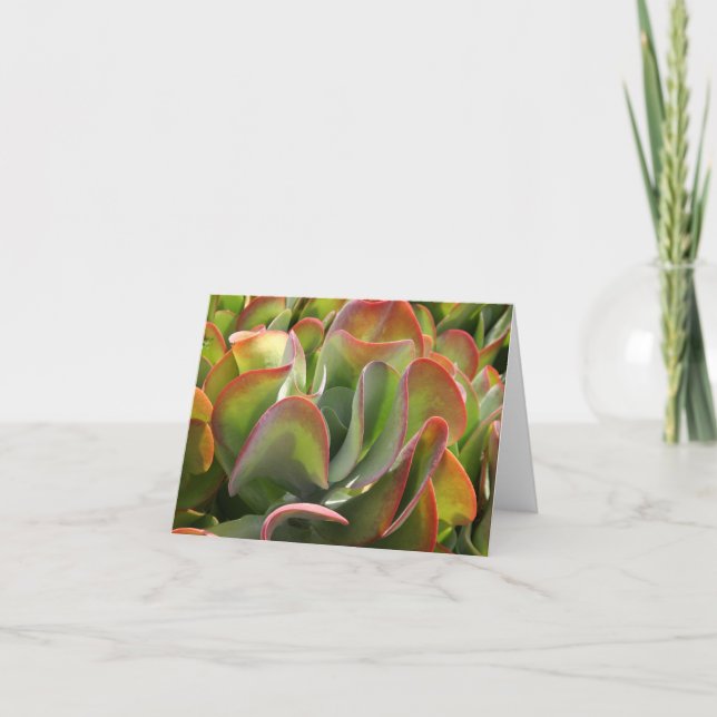 Kalanchoe notecard kort (Framsida)