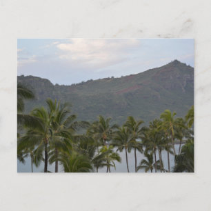 Kalapaki Bay i Kauai Vykort