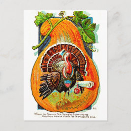 Kalcana i orange pumpa, vintage thanksgiving vykort