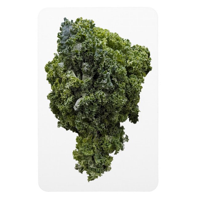 Kale Photo Magnet (Vertikal)