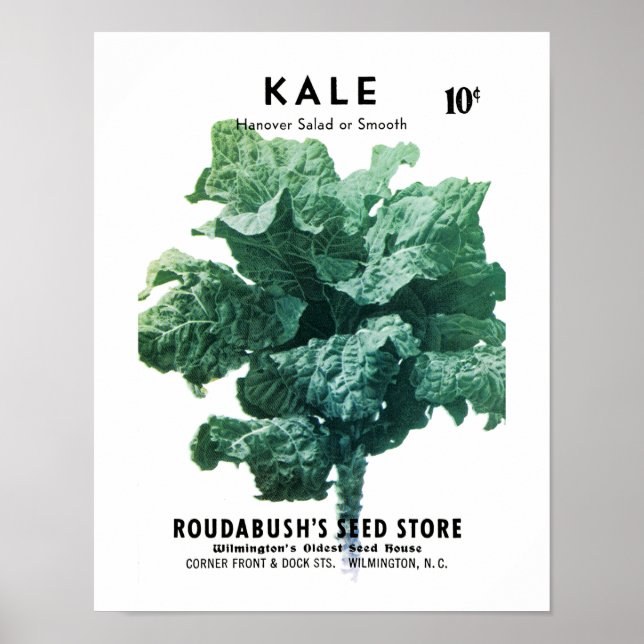 Kale Seed Packet Label Poster (Framsidan)