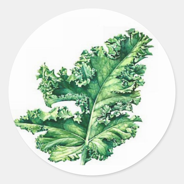Kale Sticker Runt Klistermärke (Framsida)