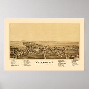 Kaledonien, NY Panoramic Karta - 1892 Poster