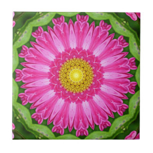 Kaleidoscope Aster Kakelplatta