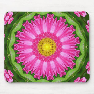 Kaleidoscope Aster Musmatta