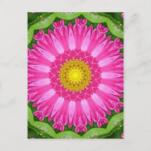 Kaleidoscope Aster Vykort