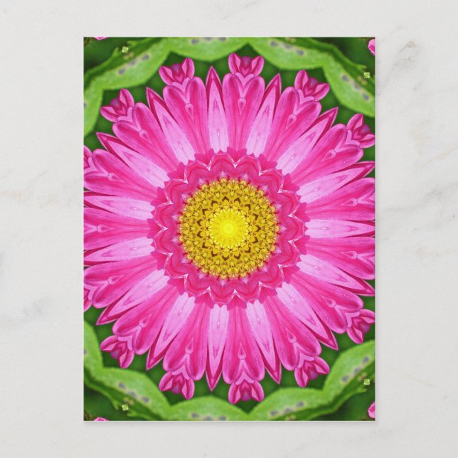 Kaleidoscope Aster Vykort (Framsida)