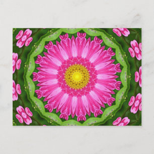 Kaleidoscope Aster Vykort