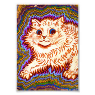 Kaleidoscope Cat Fototryck