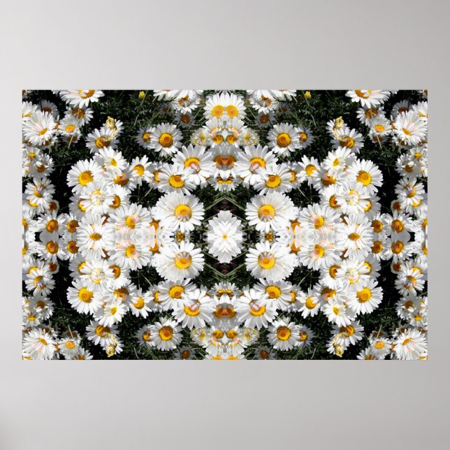 Kaleidoscope Daisy Mönster Poster (Framsidan)