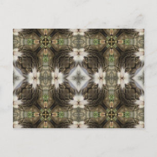 Kaleidoscope Kattunge Vykort