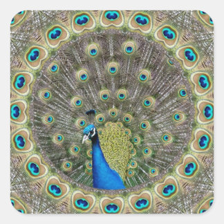 Kaleidoscope Peacock Fyrkantigt Klistermärke